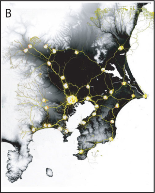 Illustration for article titled What Slime Molds And Subways Have In Common, According to Scientists